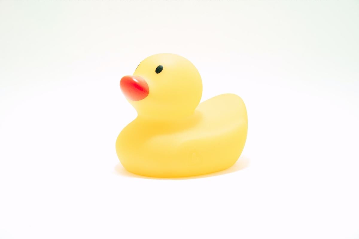f:id:champopo0024:20211114153132j:plain