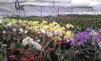 f:id:chamu3215:20100216223318j:image f:id:chamu3215:20100216223318j:image