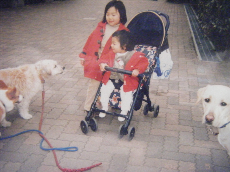 f:id:chamy-bonny:20121222000848j:image