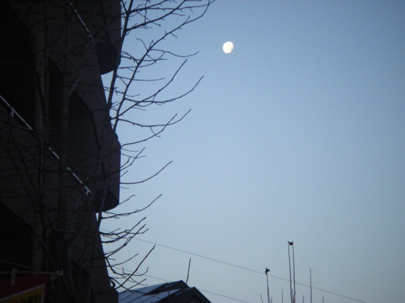 f:id:chamy-bonny:20121231184837j:image