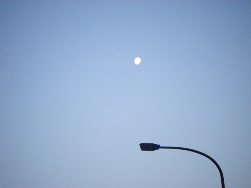 f:id:chamy-bonny:20130101204953j:image