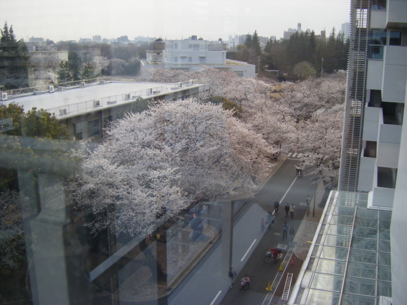 f:id:chamy-bonny:20130323041041j:image