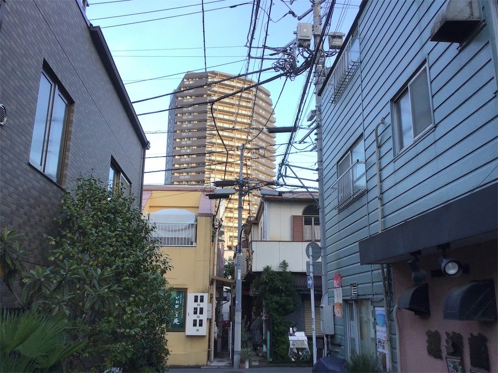 f:id:chamy-bonny:20181030002038j:image