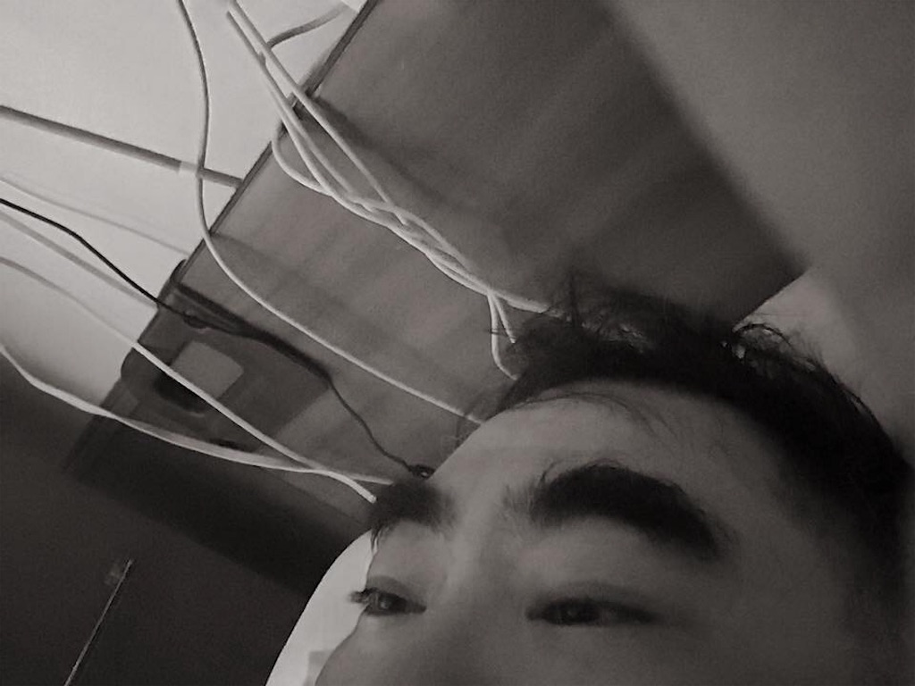 f:id:chamy-bonny:20181230195242j:image f:id:chamy-bonny:20181230195242j:image