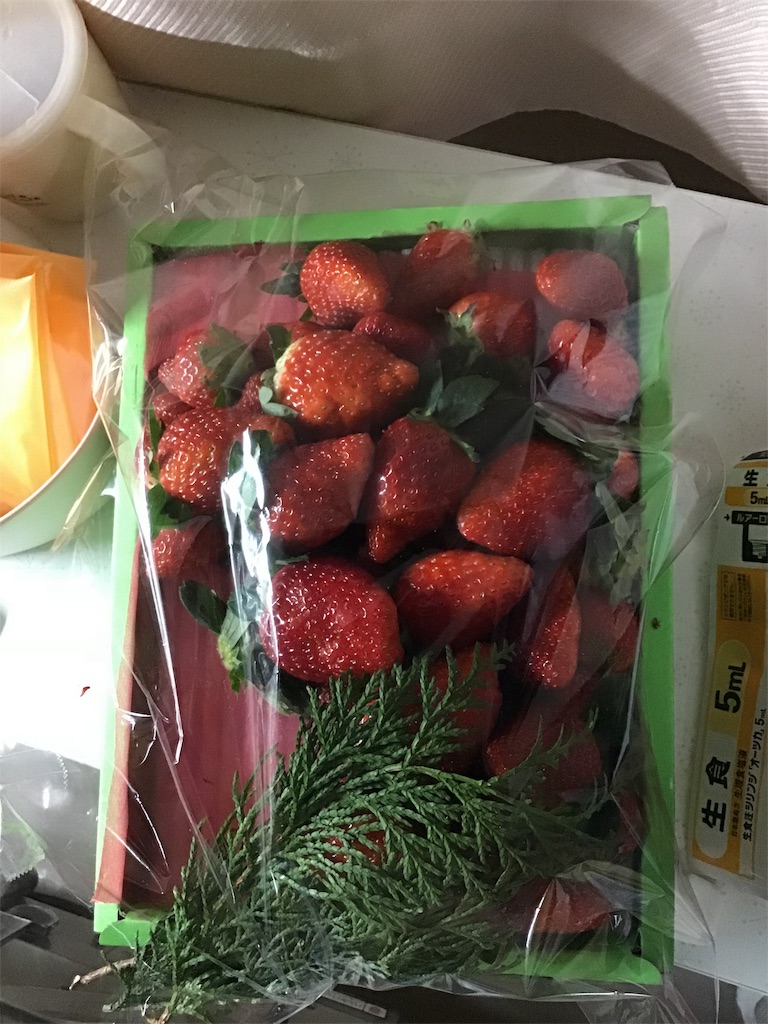 f:id:chamy-bonny:20190104085242j:image f:id:chamy-bonny:20190104085242j:image