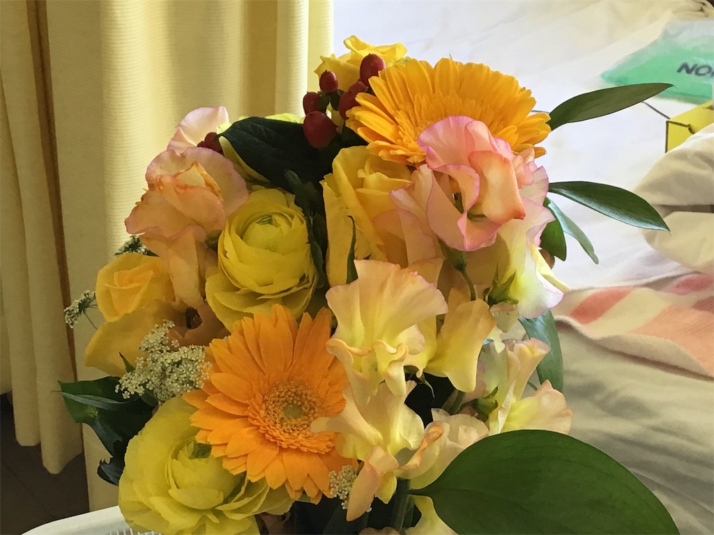 f:id:chamy-bonny:20190124095351j:image f:id:chamy-bonny:20190124095351j:image