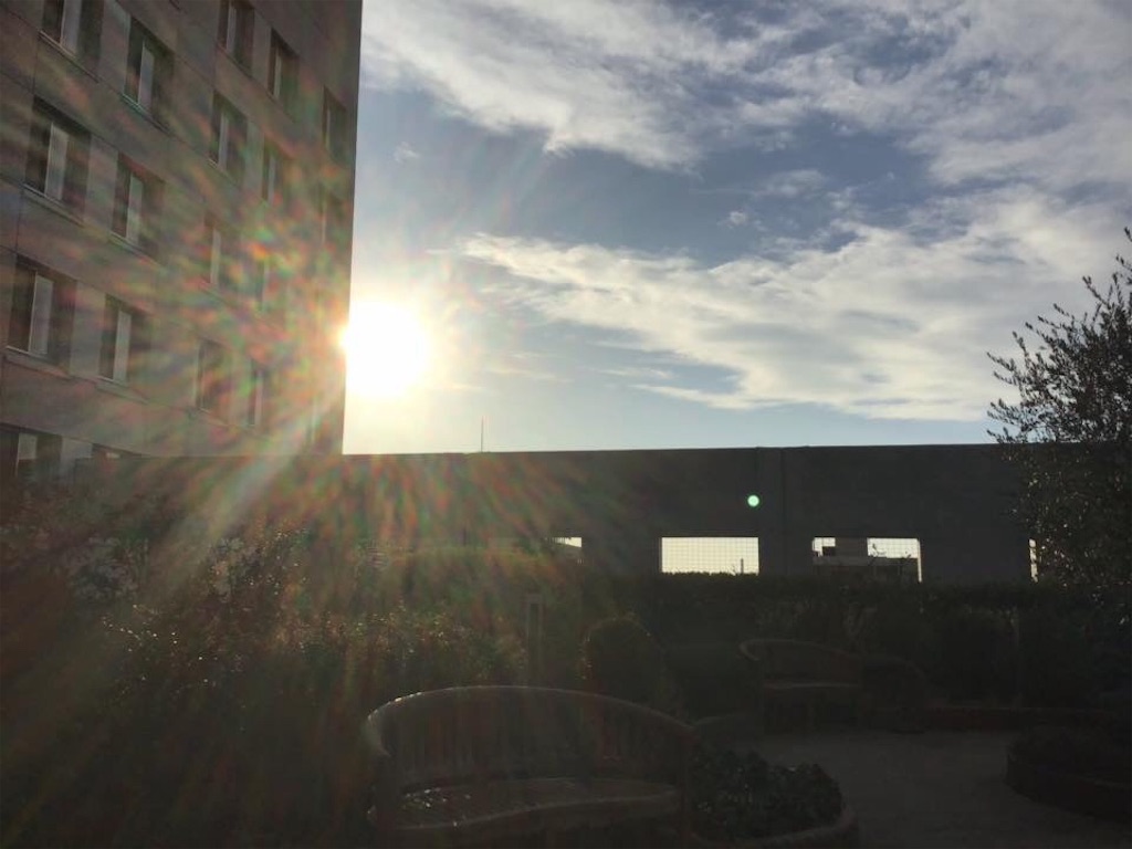f:id:chamy-bonny:20190212222007j:image