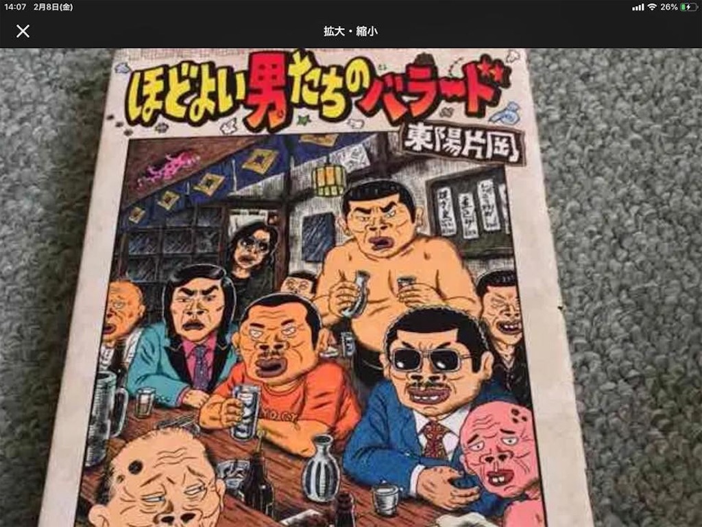 f:id:chamy-bonny:20190220222415j:image