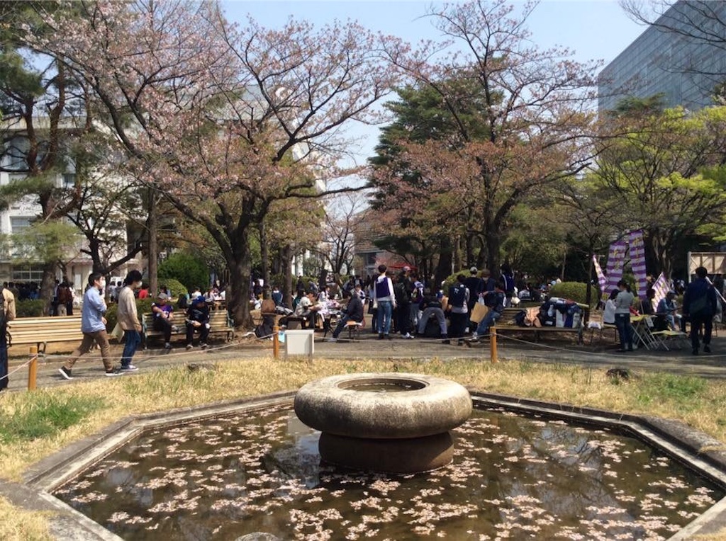 f:id:chamy-bonny:20190402233510j:image