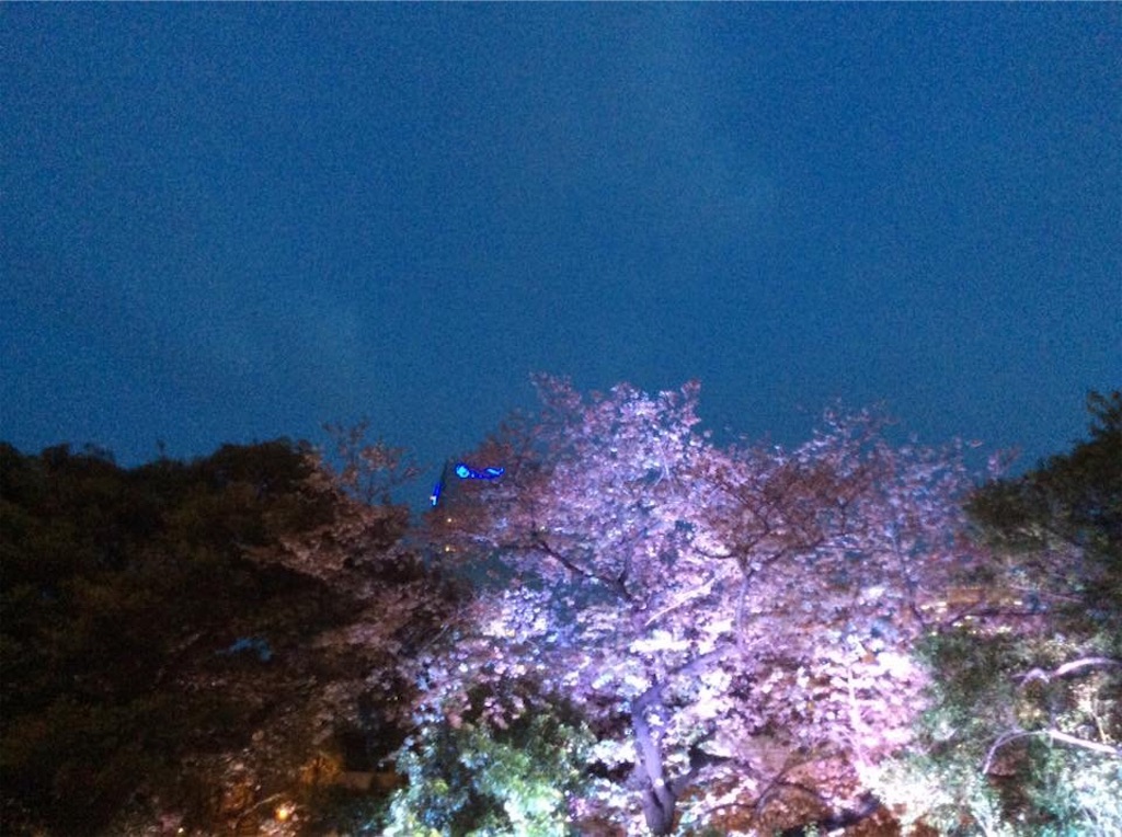 f:id:chamy-bonny:20190405151131j:image