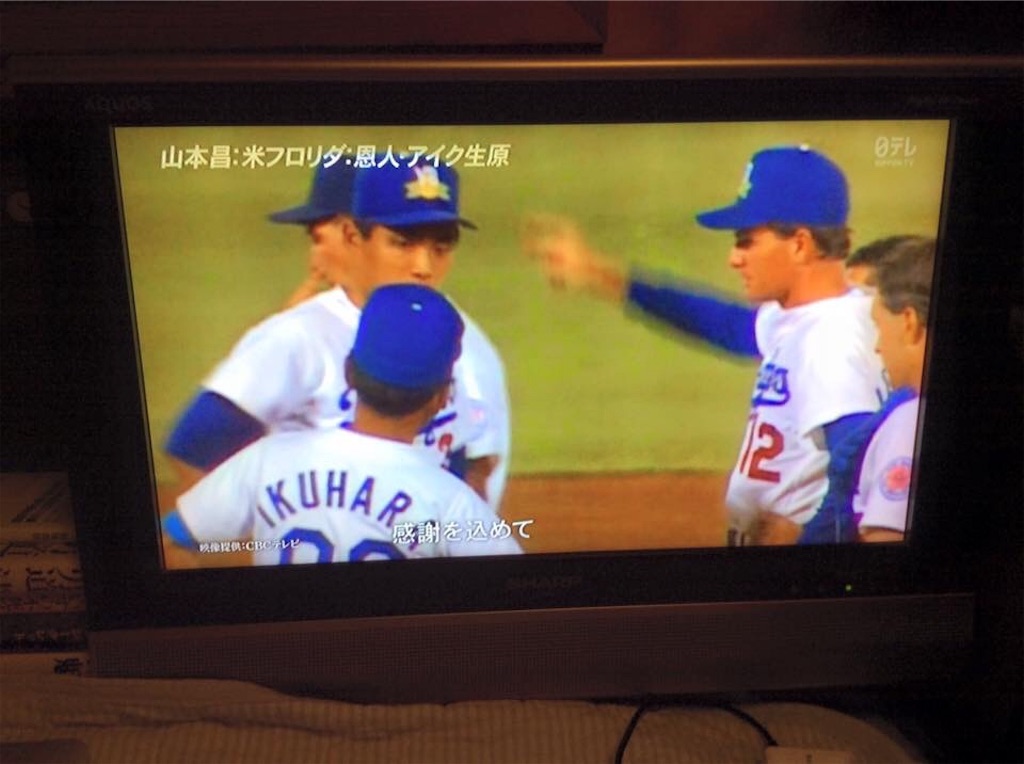 f:id:chamy-bonny:20190409121421j:image