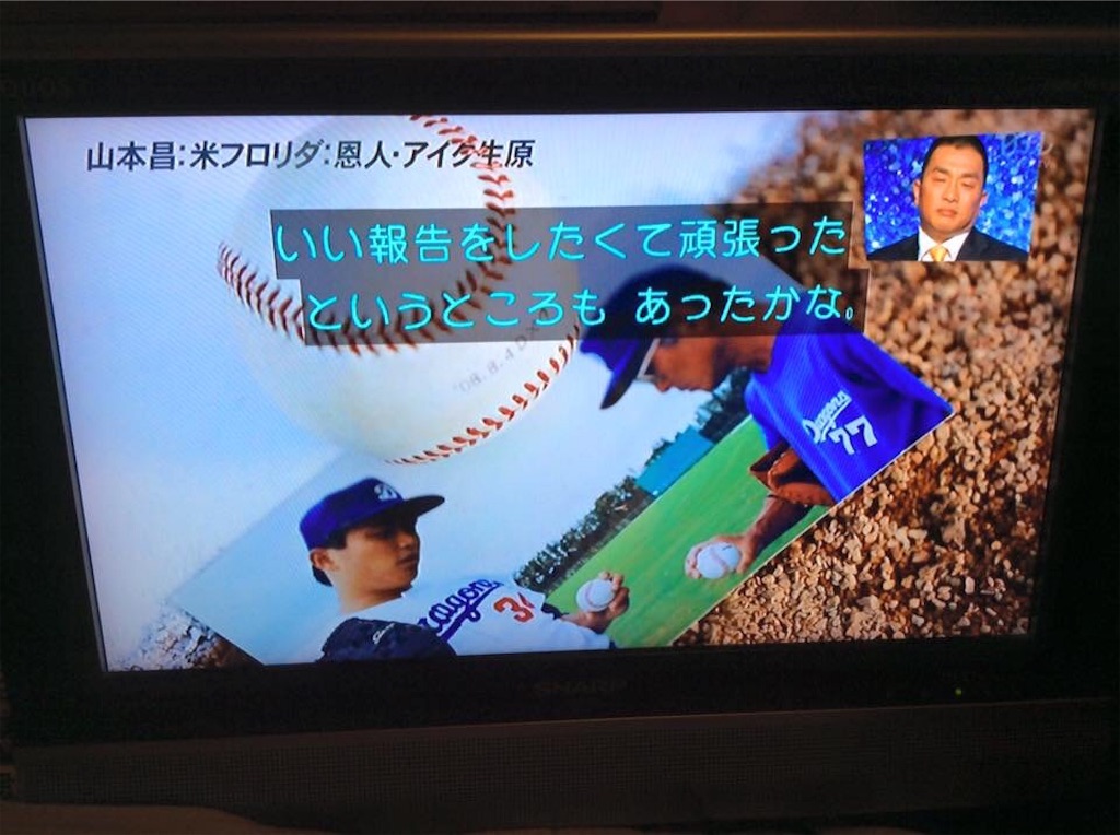 f:id:chamy-bonny:20190409121429j:image