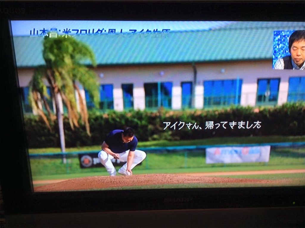 f:id:chamy-bonny:20190409121447j:image