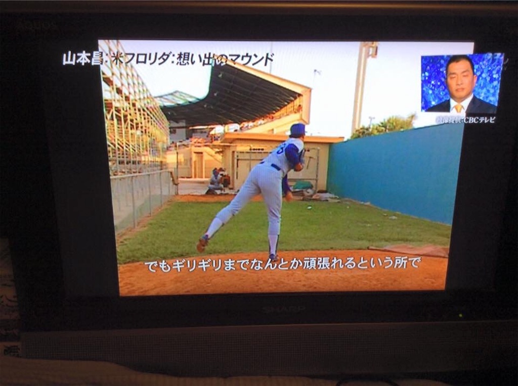 f:id:chamy-bonny:20190409121534j:image