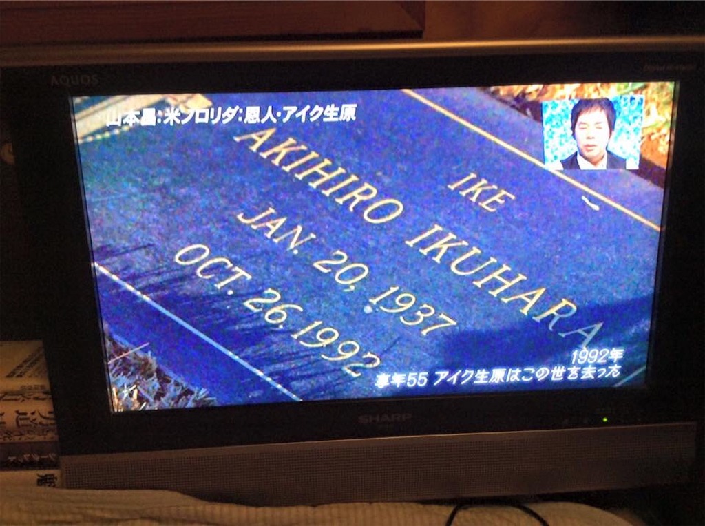 f:id:chamy-bonny:20190409121625j:image