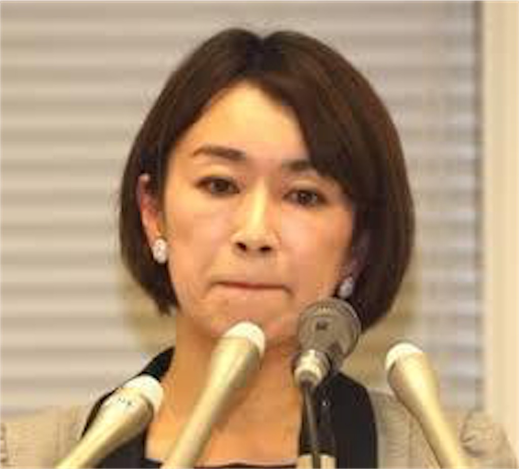 f:id:chamy-bonny:20190411211503j:image f:id:chamy-bonny:20190411211503j:image