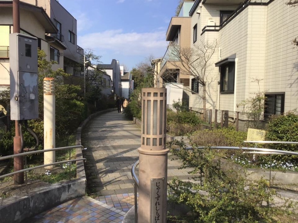 f:id:chamy-bonny:20190412084417j:image