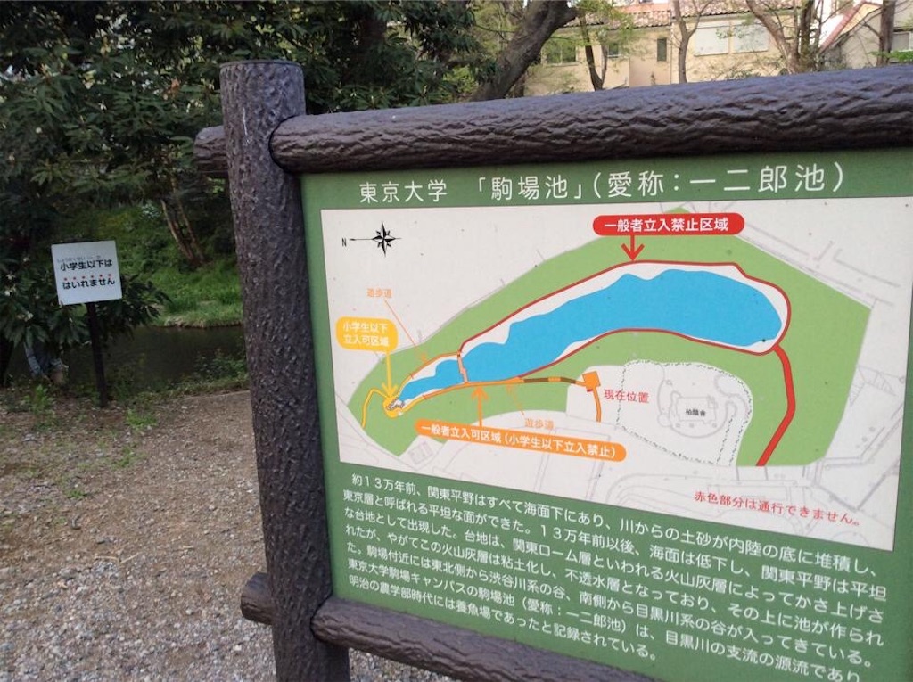f:id:chamy-bonny:20190418074346j:image f:id:chamy-bonny:20190418074346j:image