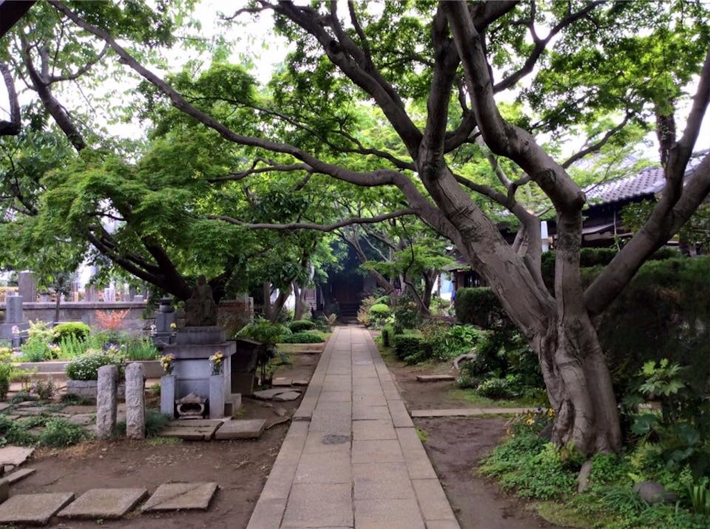 f:id:chamy-bonny:20190429134708j:image f:id:chamy-bonny:20190429134708j:image