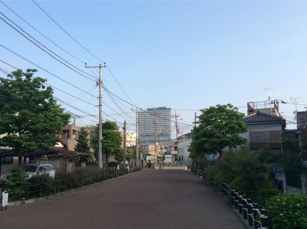 f:id:chamy-bonny:20190513220941j:image