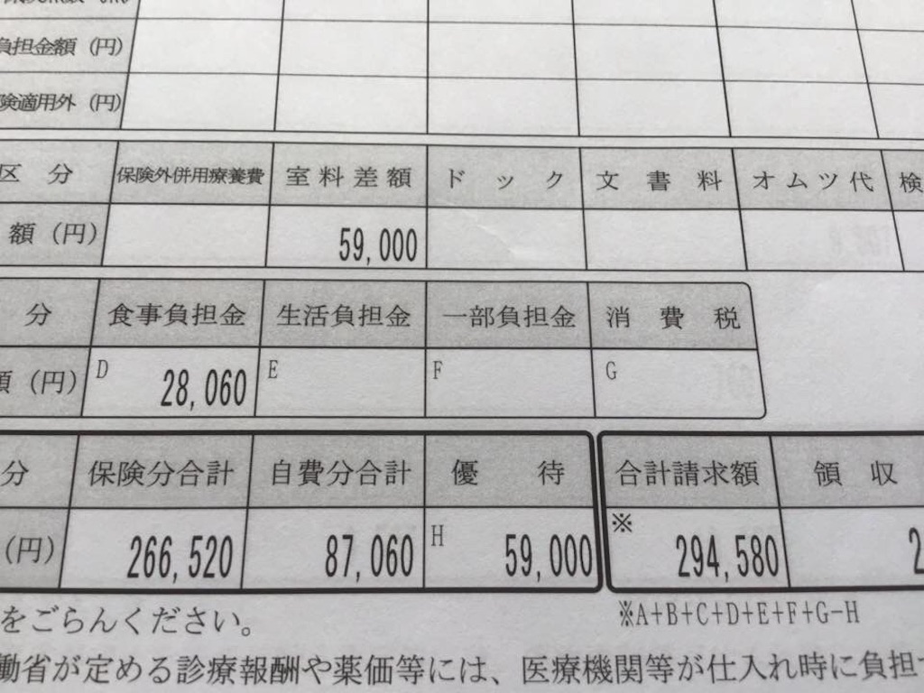 f:id:chamy-bonny:20190518104257j:image