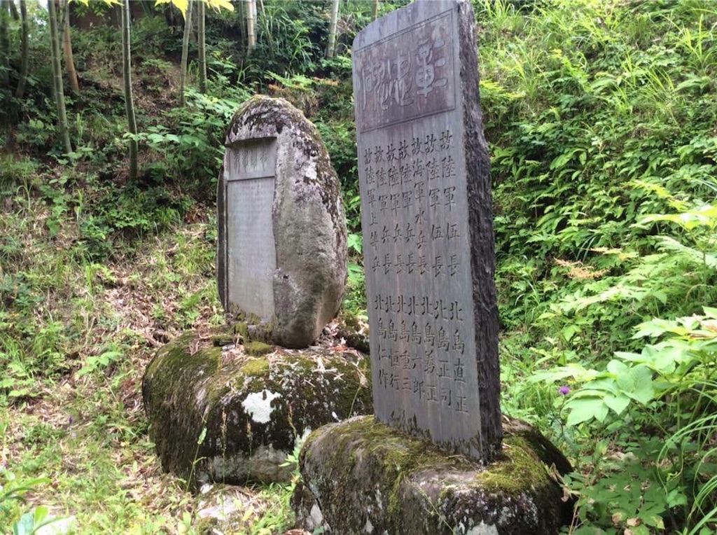 f:id:chamy-bonny:20190612223446j:image f:id:chamy-bonny:20190612223446j:image