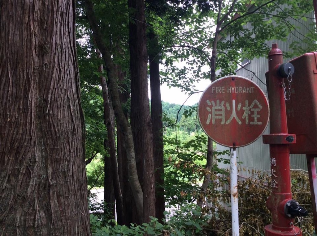 f:id:chamy-bonny:20190612223456j:image f:id:chamy-bonny:20190612223456j:image