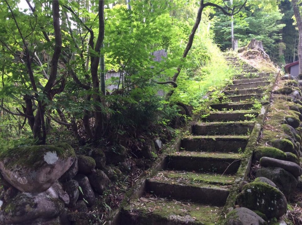 f:id:chamy-bonny:20190612223518j:image f:id:chamy-bonny:20190612223518j:image