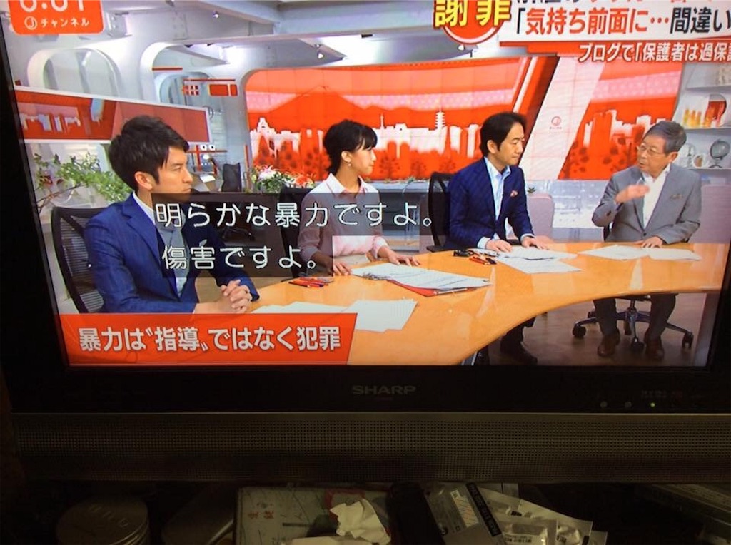 f:id:chamy-bonny:20190614211357j:image