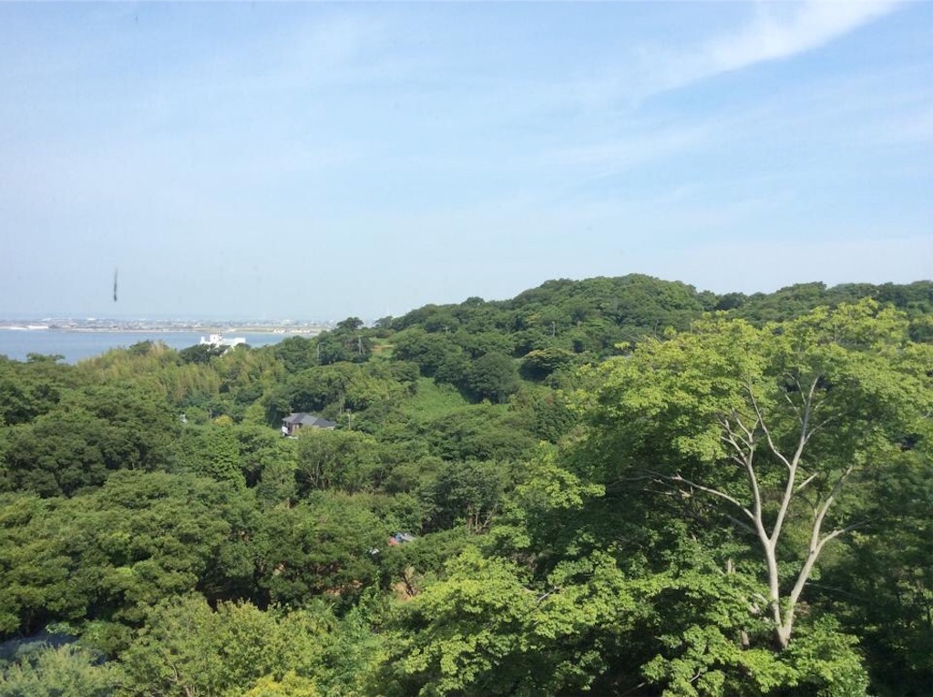 f:id:chamy-bonny:20190616222225j:image