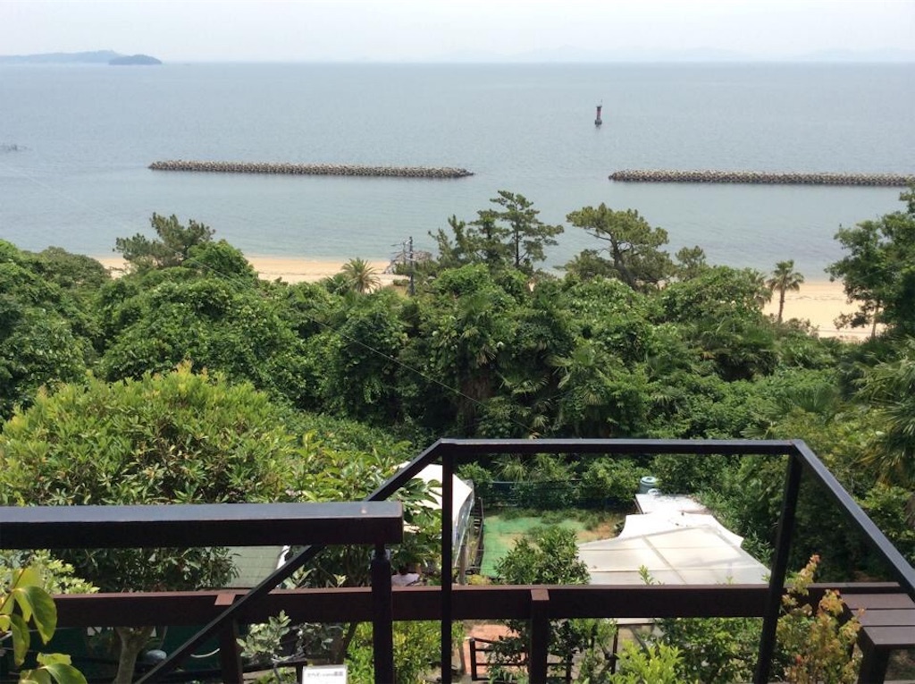 f:id:chamy-bonny:20190616223147j:image