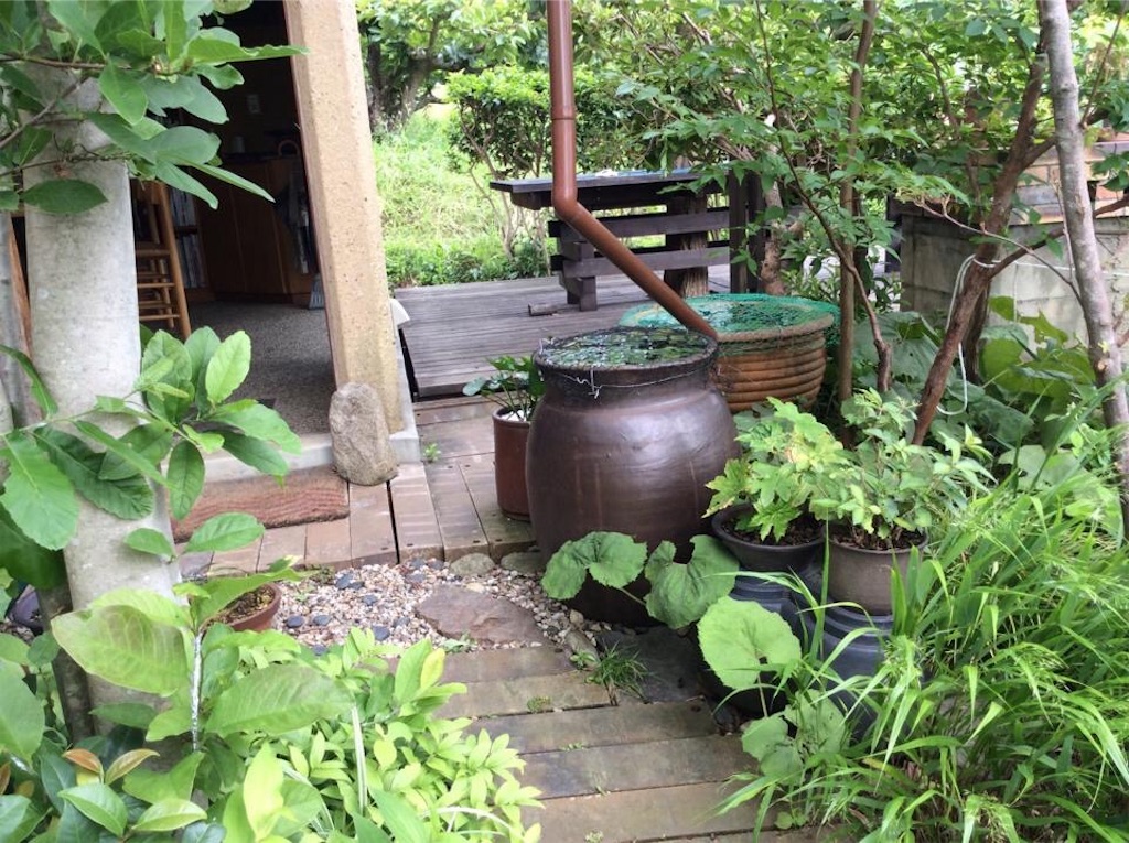 f:id:chamy-bonny:20190702222401j:image f:id:chamy-bonny:20190702222401j:image