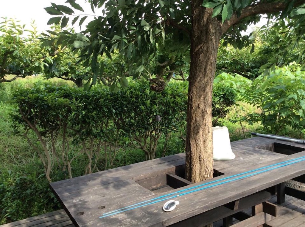 f:id:chamy-bonny:20190702222451j:image f:id:chamy-bonny:20190702222451j:image