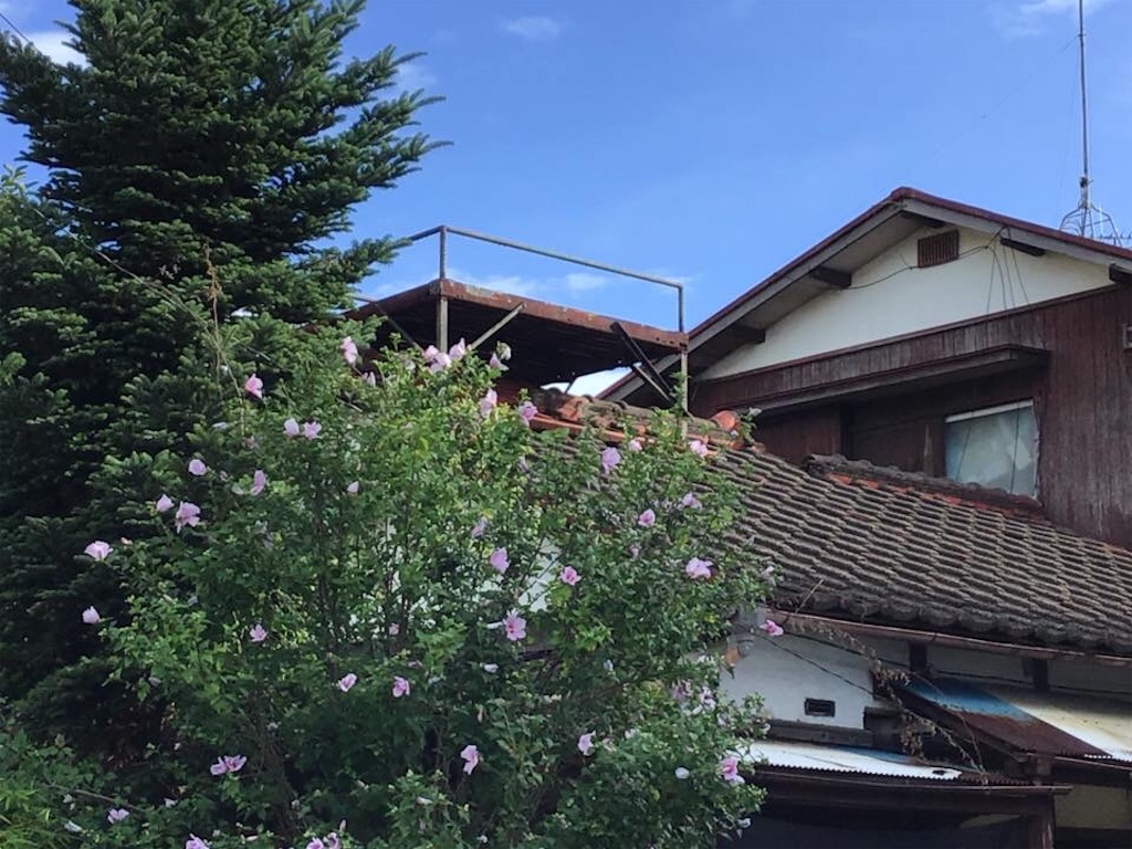 f:id:chamy-bonny:20190721225511j:image