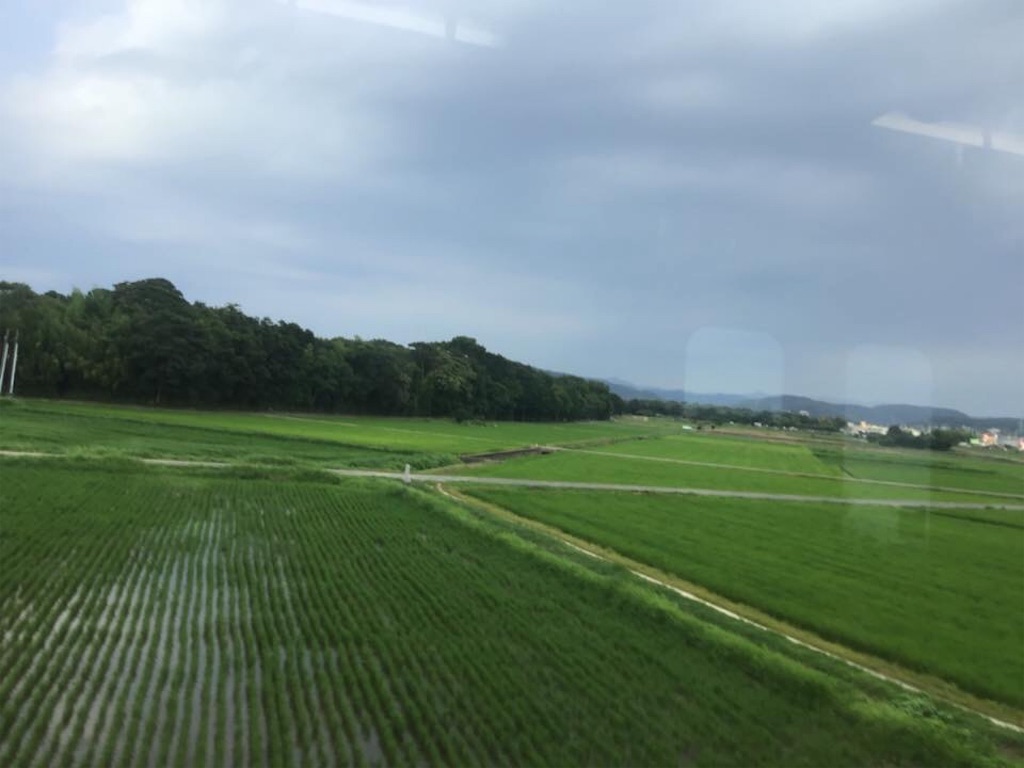 f:id:chamy-bonny:20190727233315j:image