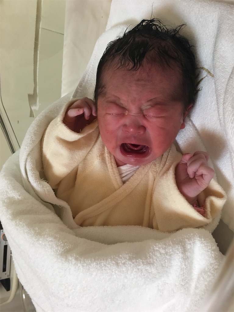 f:id:chan-mama:20190527131612j:image