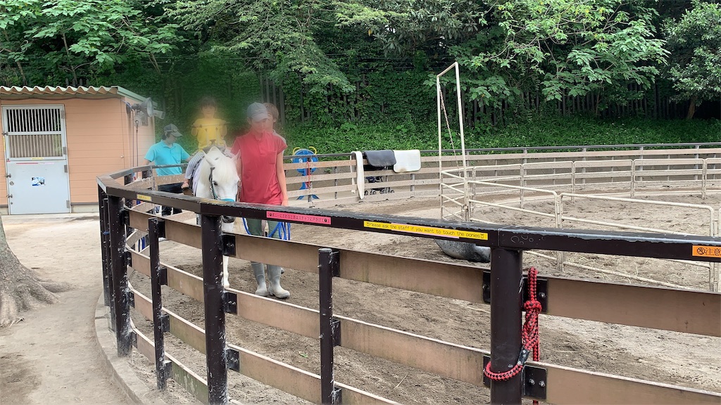 f:id:chan-mama:20190603103204j:image