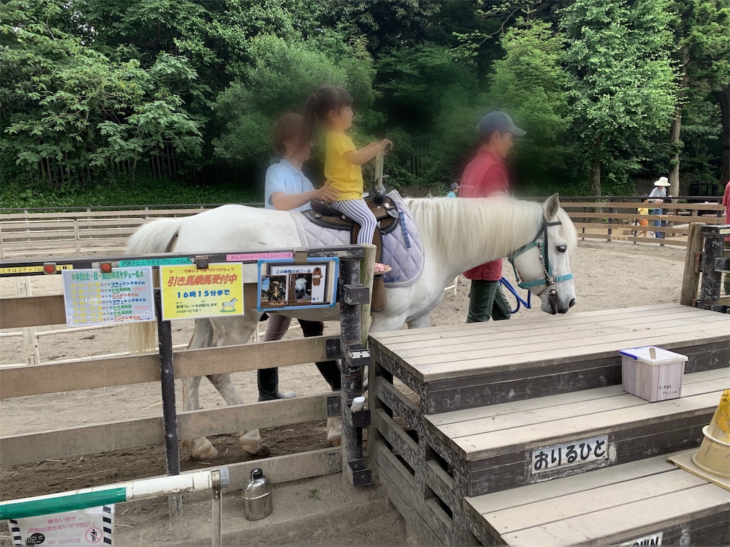 f:id:chan-mama:20190603103430j:image