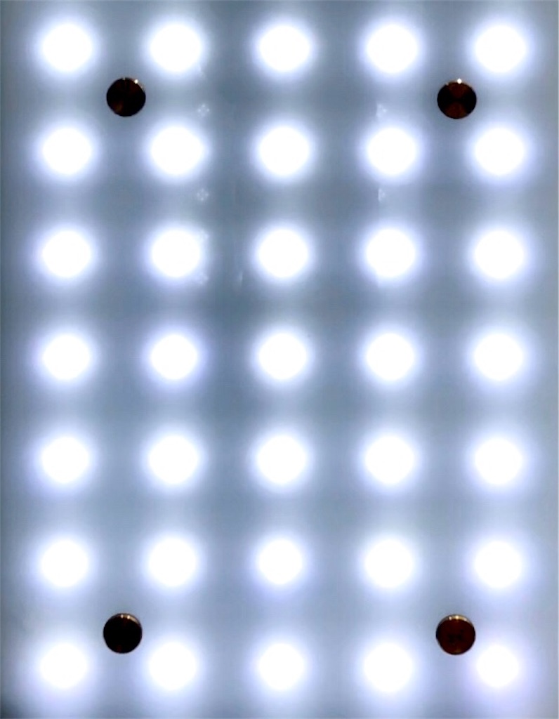 f:id:chan-saka:20190401150812j:image f:id:chan-saka:20190401150812j:image