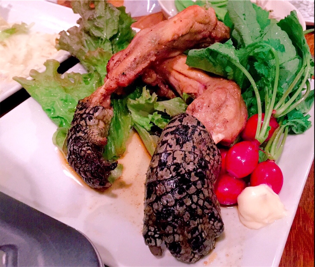 f:id:chan-saka:20201211164815j:image