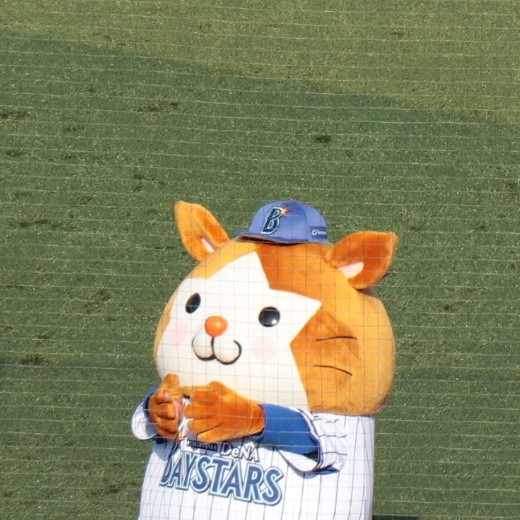 f:id:chan_fushigi:20211110143809j:image
