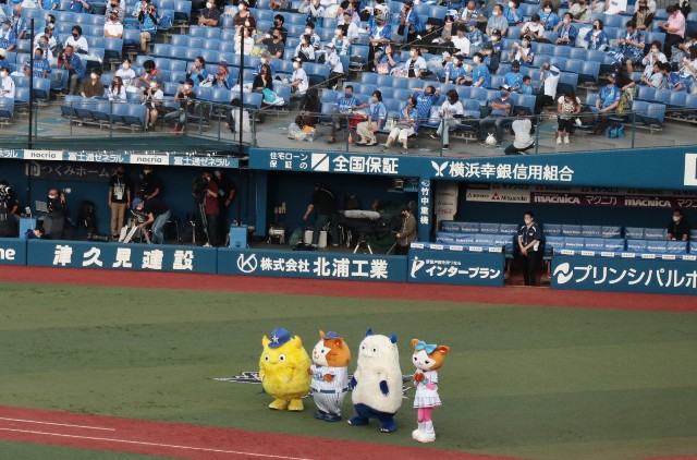 f:id:chan_fushigi:20211110144305j:image