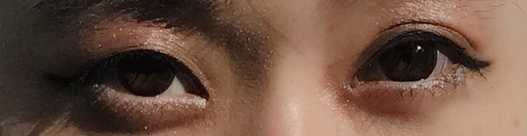 f:id:chanaoi214:20190501221337j:plain f:id:chanaoi214:20190501221337j:plain