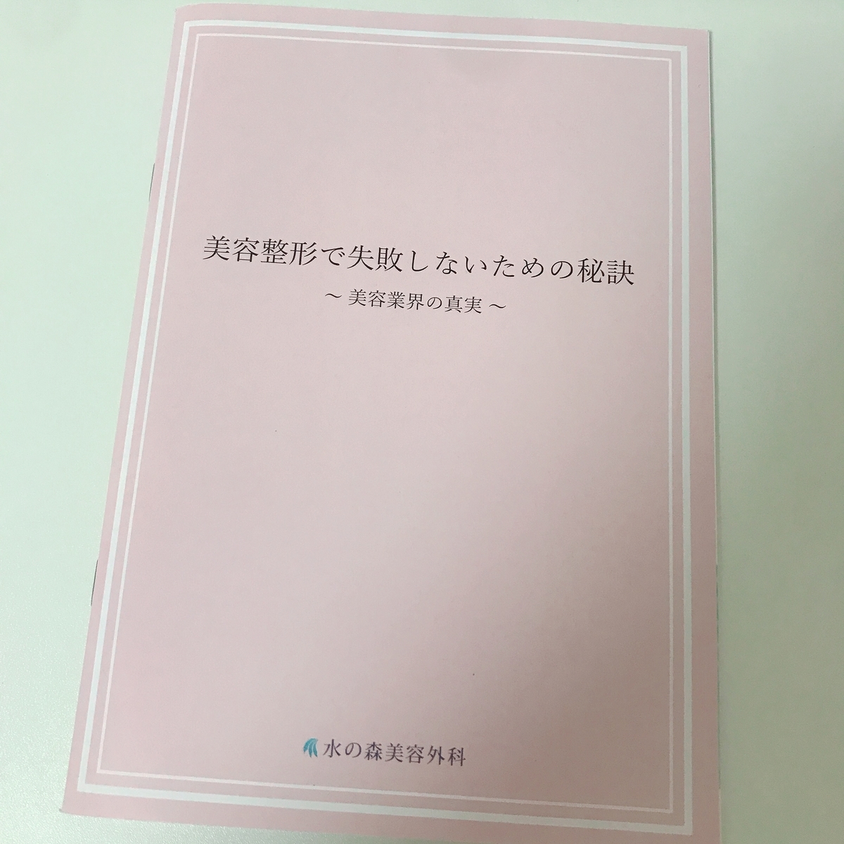f:id:chanaoi214:20190502020015j:plain f:id:chanaoi214:20190502020015j:plain