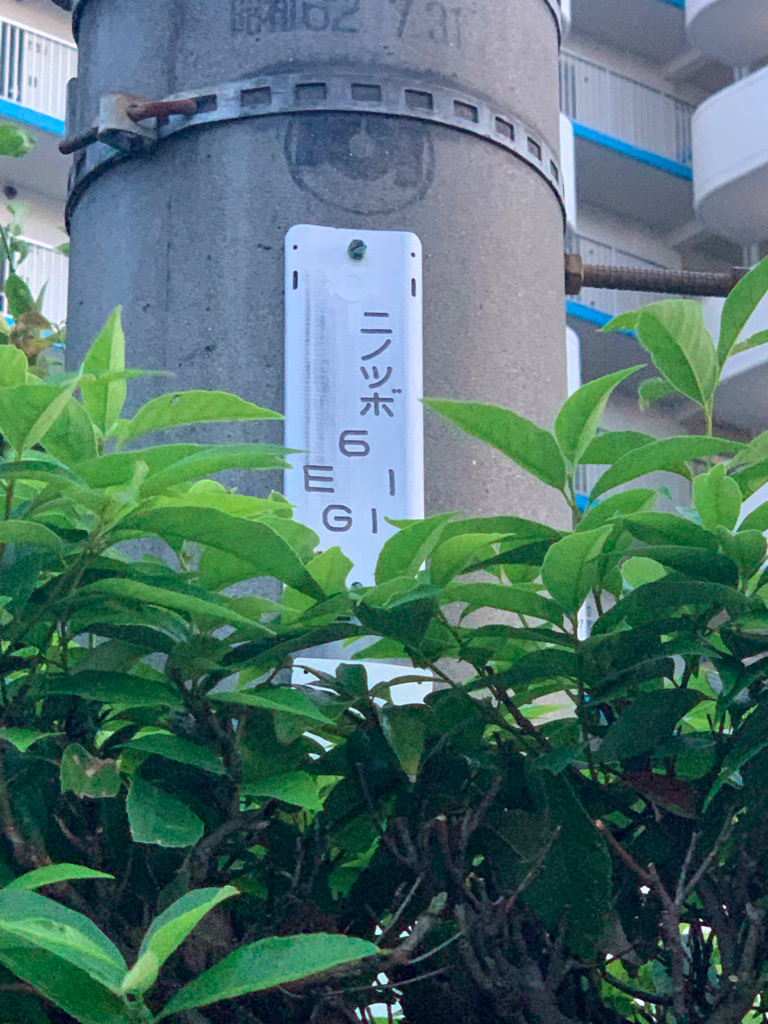 f:id:chanaoi214:20210820003607p:plain