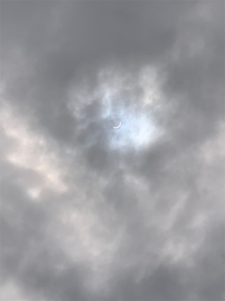f:id:chanaoi214:20250108201251j:image f:id:chanaoi214:20250108201251j:image