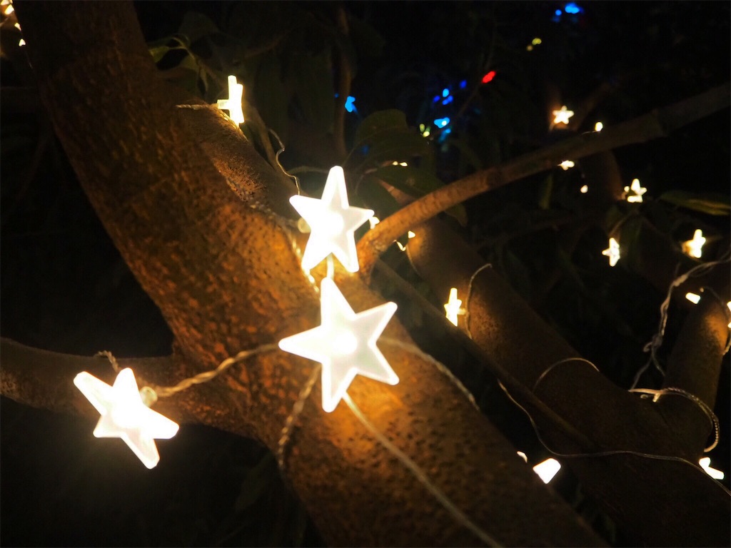 f:id:chanapi:20181231161355j:image