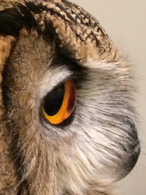 f:id:chancechance:20140923192044j:plain