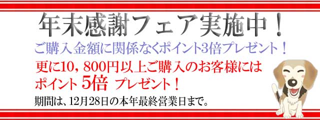 f:id:chancepapa:20171226100437j:plain