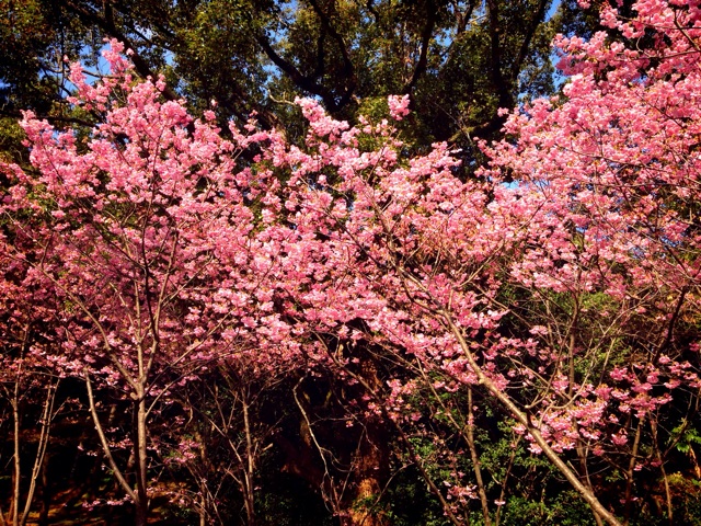 f:id:changeless21:20140317182904j:plain f:id:changeless21:20140317182904j:plain